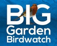 RSPB Bird Watch 